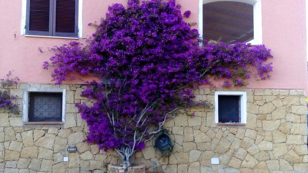 Villa Annalia Cannigione Εξωτερικό φωτογραφία
