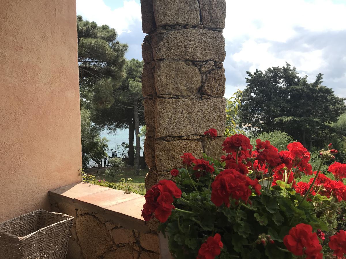 Villa Annalia Cannigione Εξωτερικό φωτογραφία